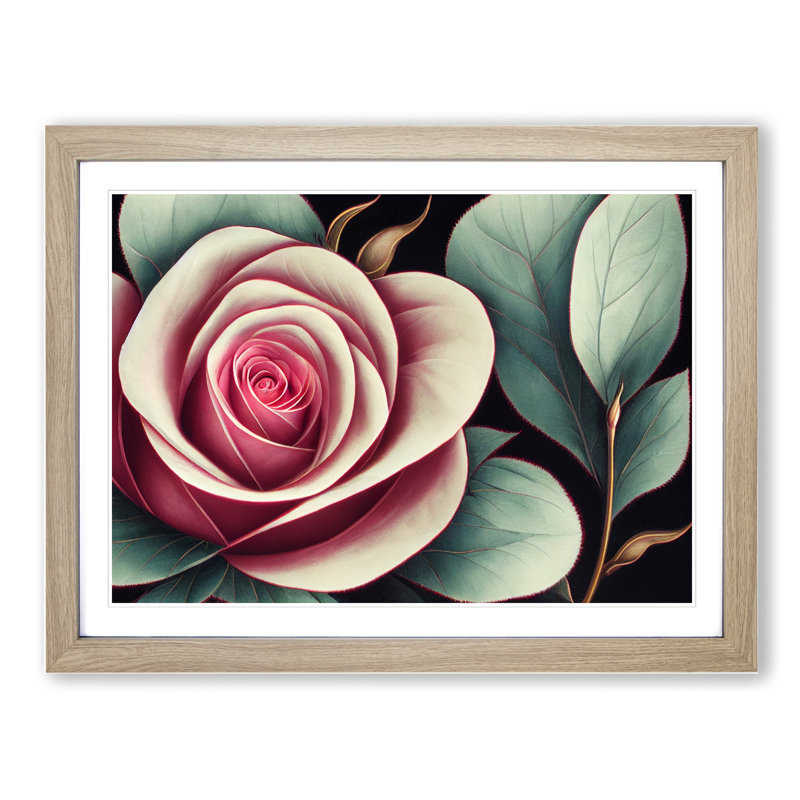 Splendid Rose Flower - Framed Print, 34cm H x 46cm W x 2cm D, Oak