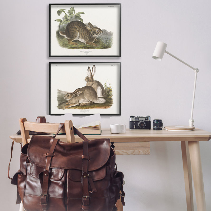 «Gentle Resting Cottage Rabbit», ensemble de 2 giclées par Wild Apple Portfolio, Giclée encadrée noir minuit
