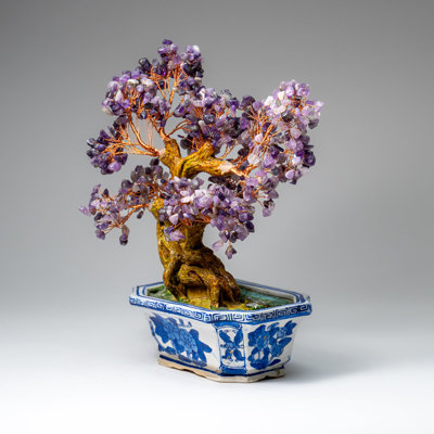 Véritable bonsaï améthyste avec pot en céramique (hauteur de 10,5)