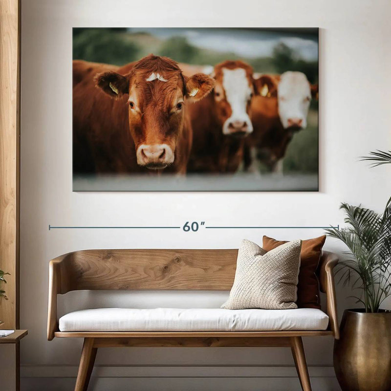 Brampt Brown Cattle, 34" H x 51" W