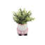 Plante d'eucalyptus artificiel 5 "en pot