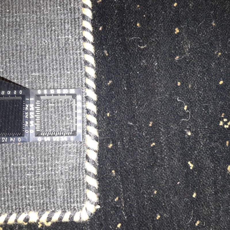 Orlander Polka Dots Area Rug in Black