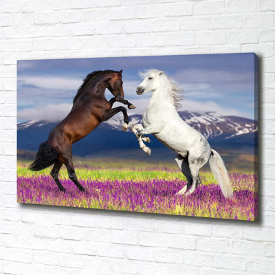Horses Fighting Mountains - No Frame Print on Canvas