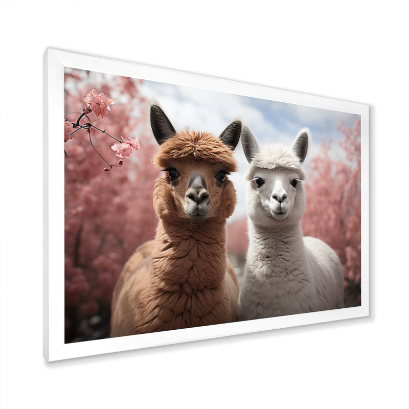 Alpagas Graceful Alpacas II - reproduction sur toile, Cadre photo blanc, H 34 po x l 44 po x P 1,5 po