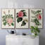 Mélange floral rose I-91887152-91887153