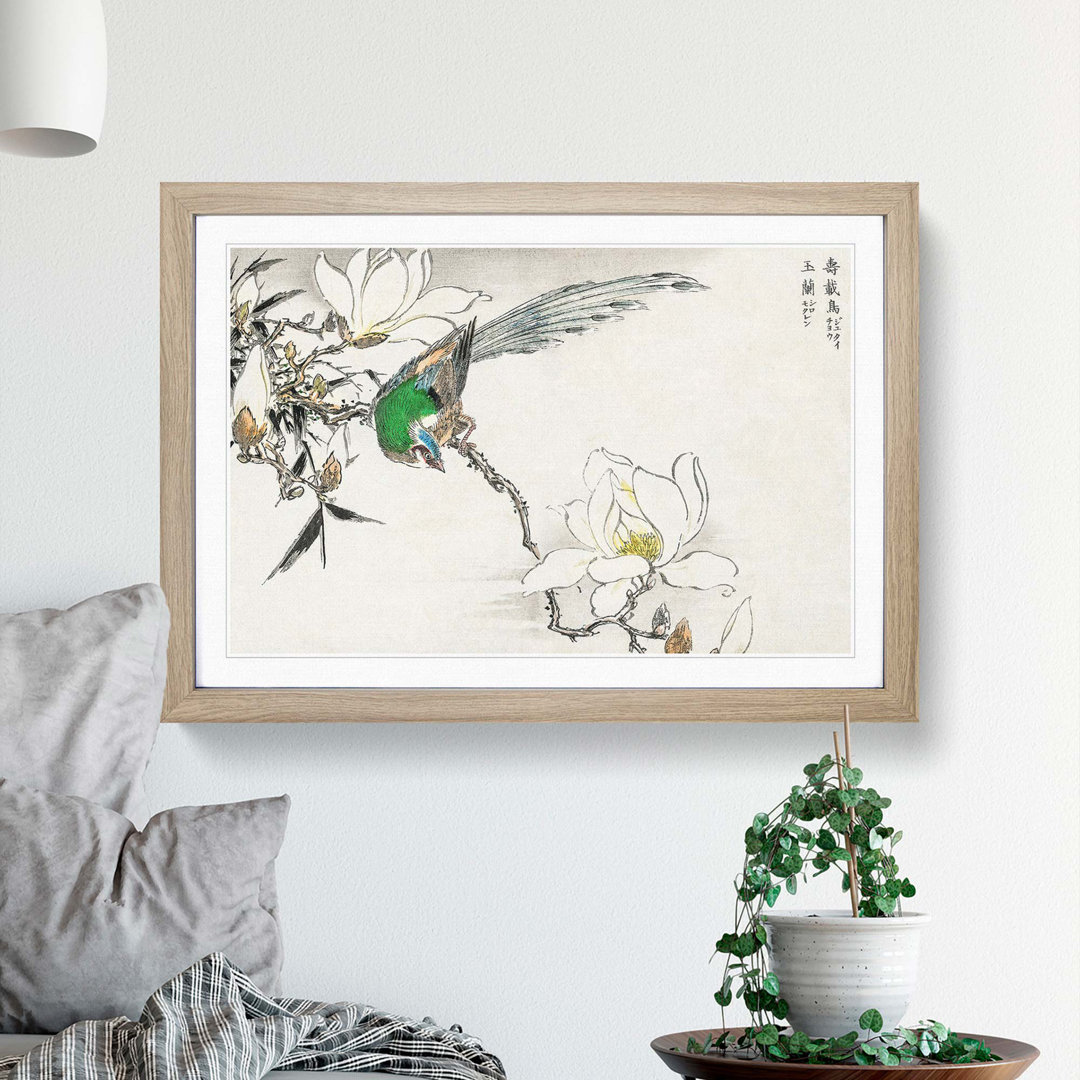 Pipit Bird and White Magnolias by Numata Kashu - Framed Print