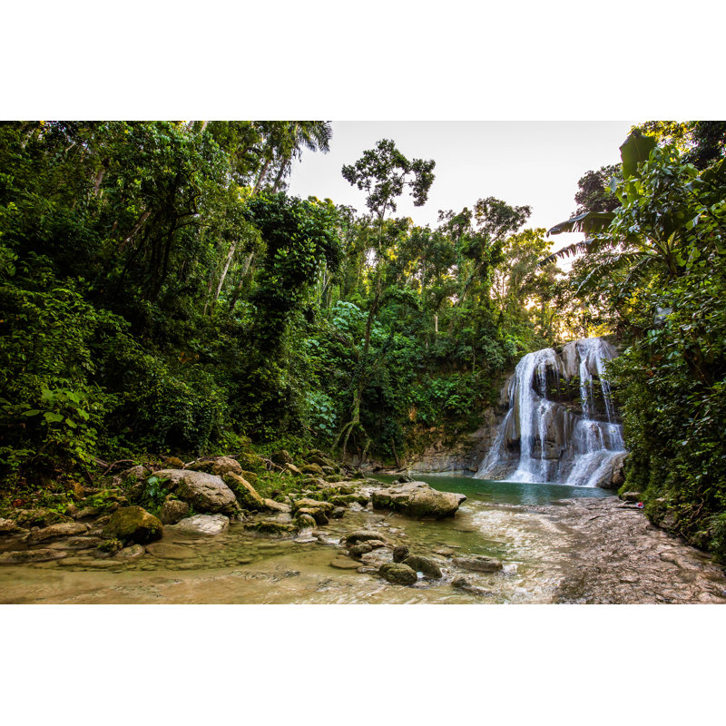 Cascade de Gozalandia, San Sebastian, Porto Rico - photographie sur toile tendue, H 8 po x l 12 po x P 1,25 po
