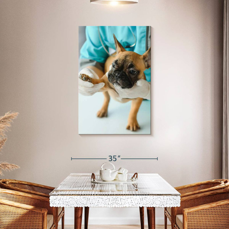 Brampt Pet Care, 45" H x 30" W