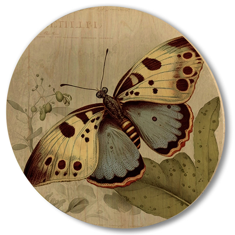 Illustration rétro de papillon III - animaux, art mural en bois - bois de pin naturel, H 16 po x l 16 po x P 1 po