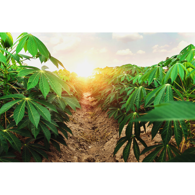 Farm And Sunset by Lovelyday12 - Wrapped Canvas Print, 30cm H x 46cm W