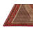 Oriental Indoor Rug-21669581