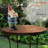 Nyla Gnome Statue with Hand Behind His Back-74339715