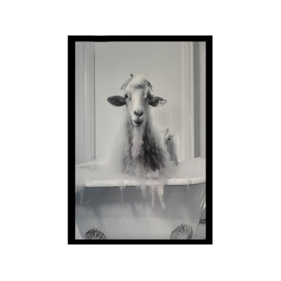 Bulle de mouton, art encadré