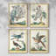 «Pastel Birds I», ensemble de 4 encadrés-109518766-109518765