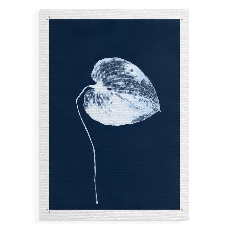 Feuille de cyanorphe II - reproduction de toile seulement - non encadrée, H 60 po x l 40 po