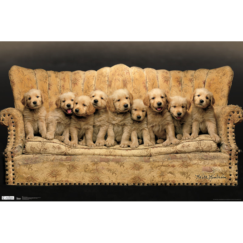 Impression sur papier chiot-golden canapé