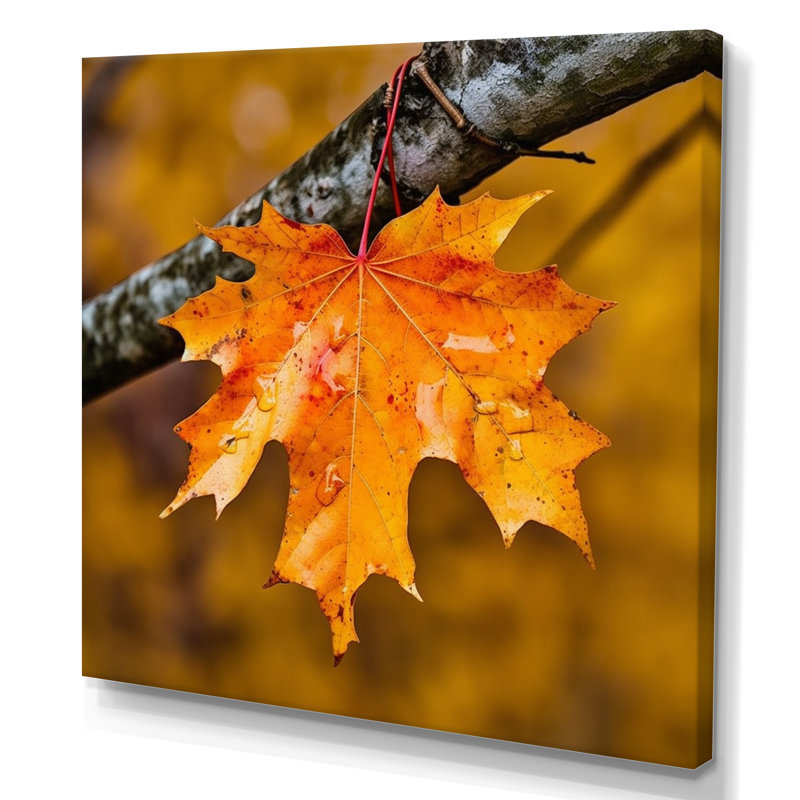 «Canadian Mapple Tree Leaves II», reproduction sur toile, Toile tendue, H 30 po x l 30 po x P 1 po