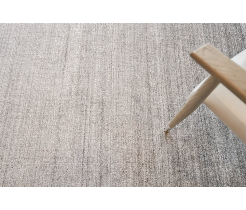 Sanctuary Area Rug in Gray/Ivory, Rectangle 9' x 12'