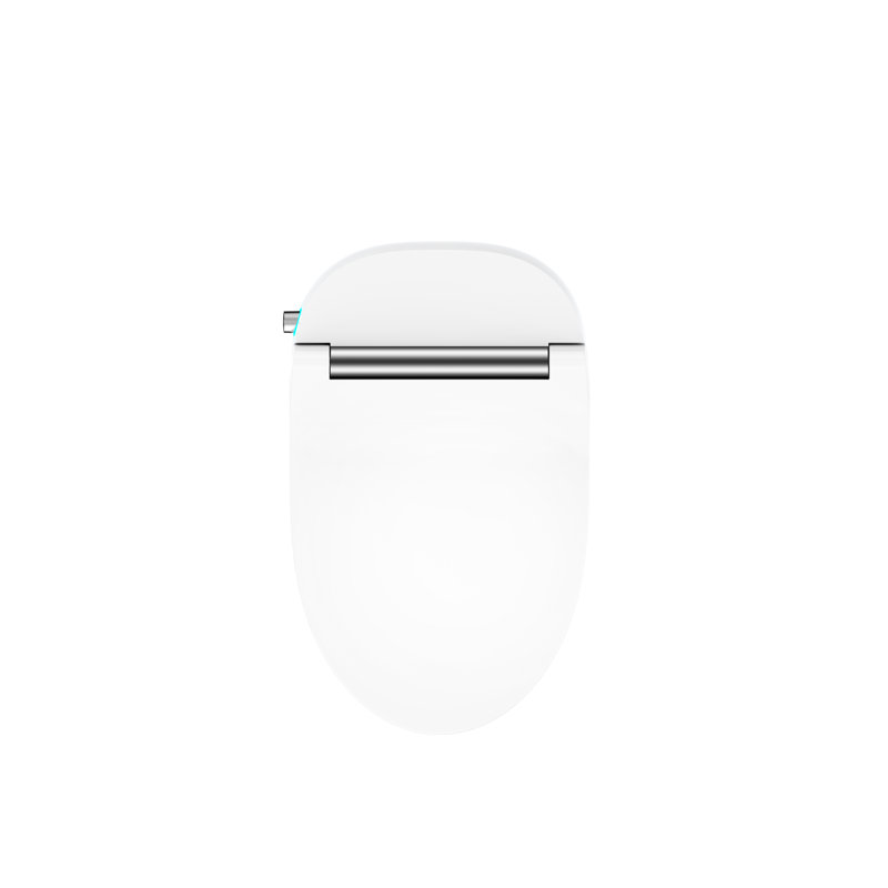 Smart Toilet With Adjustable Temp Heated Seat & Ceramic Body Bathroom Powerful Flushing