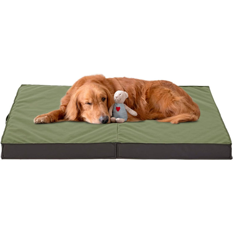 Lit pliable de refroidissement pour chien orthopédique pour l'extérieur intérieur, Grand (l 35 po x P 22 po x H 3 po), Vert
