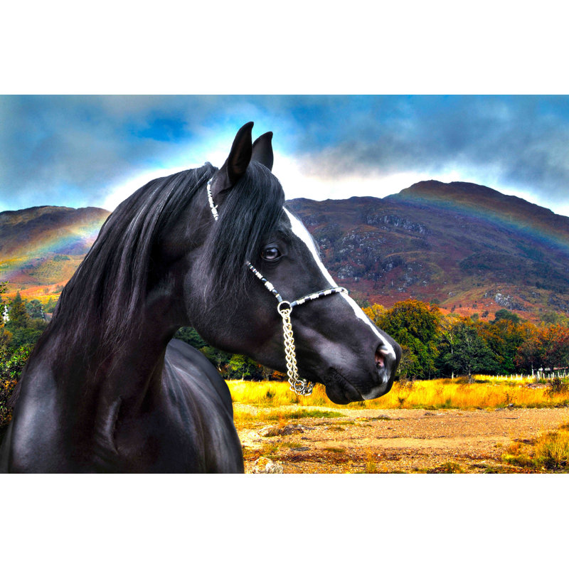 Rainbow 1 Piece Wrapped Canvas Wall Art, 101cm H x 152cm W