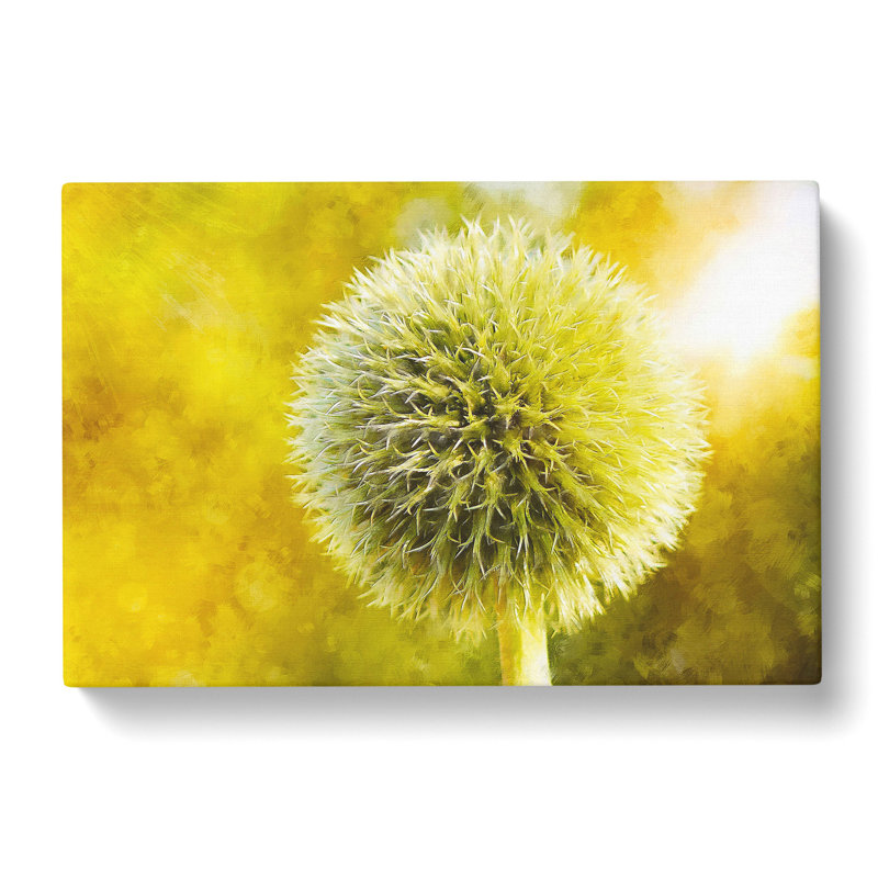 Thistle Flower Vol.2 - Wrapped Canvas Print, 35cm H x 50cm W x 3cm D