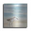 «Speckled Willet I» par Victoria Borges, art mural en métal-1760759481