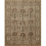 Extravagance II Hand Knotted Area Rug in Beige