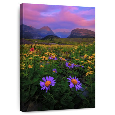 Alvord Glacier Park Flower Field