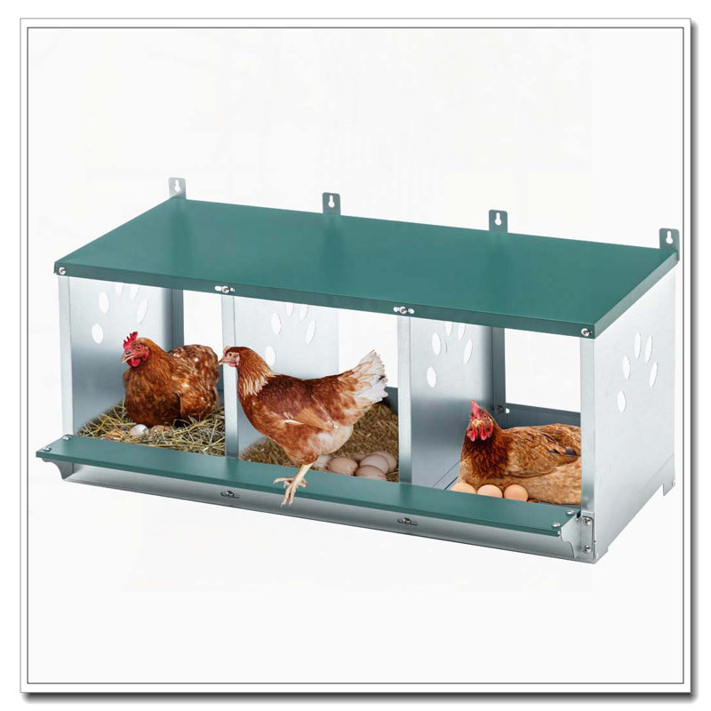 3-Compartment Metal Nesting Box for Chickens