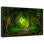 Fairyland Forest Canvas Print
