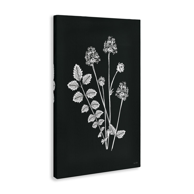 Impression sur toile Herb Bunches Impression par House Fenway, H 24 po x l 16 po