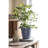 Daekwan Pot Planter-462797777-429344156