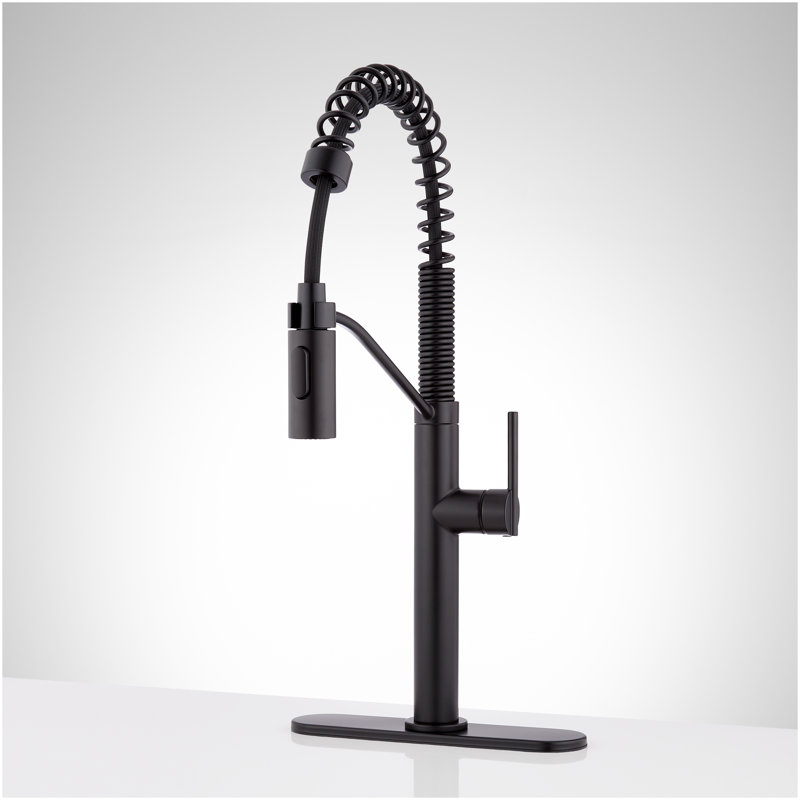 Eiler Kitchen Faucet with Pull Down Spring Spout with Deck Plate- Matte Black, Matte Black