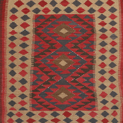 Southwestern Indoor Rug