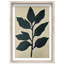 Oliver Gal Crimson Coast II Floral & Botanical - Luxury Shadowbox Framed Wall Art-1969759104-1969759111
