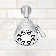 Icon Anystream Multi-Function Adjustable Shower Head