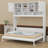 Murphy Bed With Ample Storage Space And  Stripes