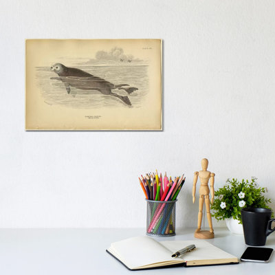 Sea Otter by PI Collection - Wrapped Canvas Panoramic Print