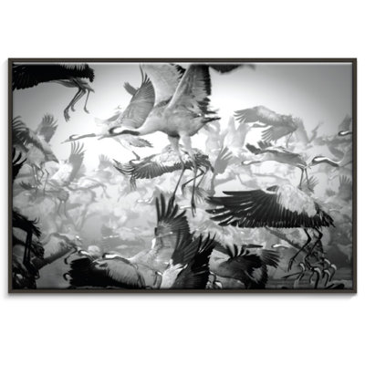 Photographers Lane - Wrapped Canvas Print