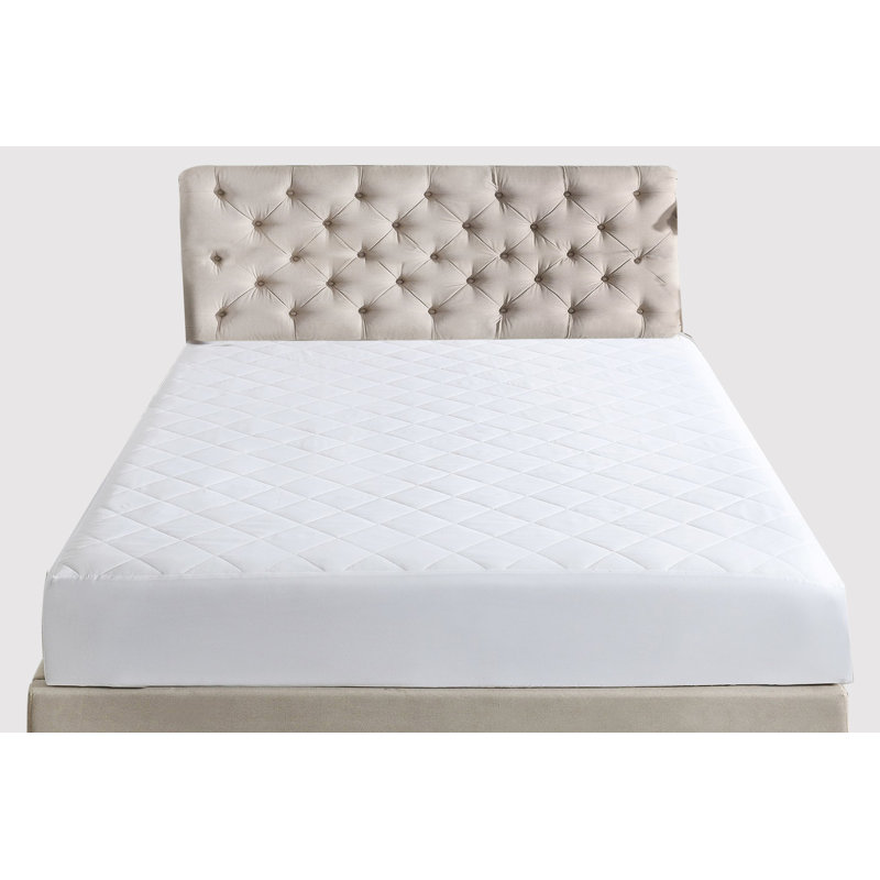 Biu Fitted Mattress Protector Case Pack, Double