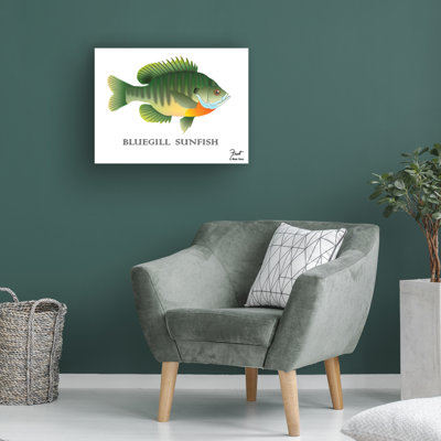 Bluegill Sunfish by Mark Frost - Wrapped Canvas Graphic Art -  Loon Peak®, 024F808E773641B285CACE901A0E3CB8