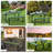 Dion 4 - Person Patio Dining Set with Rectangular Table-1779235027