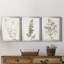 Neutral Botanical Study IV - Ensemble de 3 impressions sur toile encadrées-1770476219-1770476218