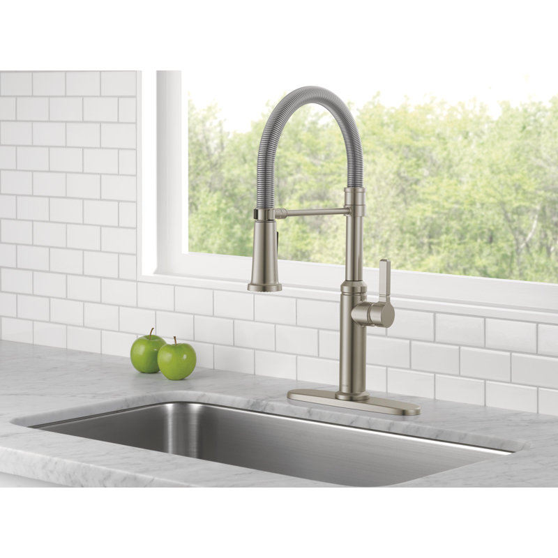 Robinet de cuisine Rhett Pro Style, Inoxydable