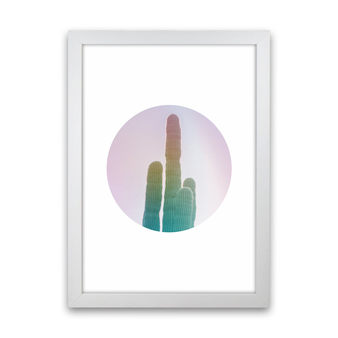 Circular Cacti - Graphic Art Print on Paper