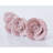 1" Length Rose Novelty Knob Multipack