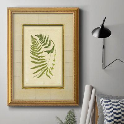 Fougère avec toile craquelée de qualité supérieure (H) III - prête à être accrochée