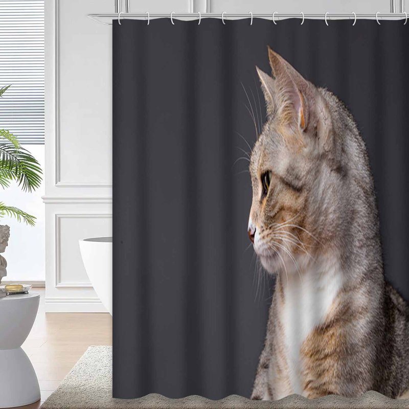 Rideau de douche avec 12 crochets Sphinx, L 72 po x l 72 po