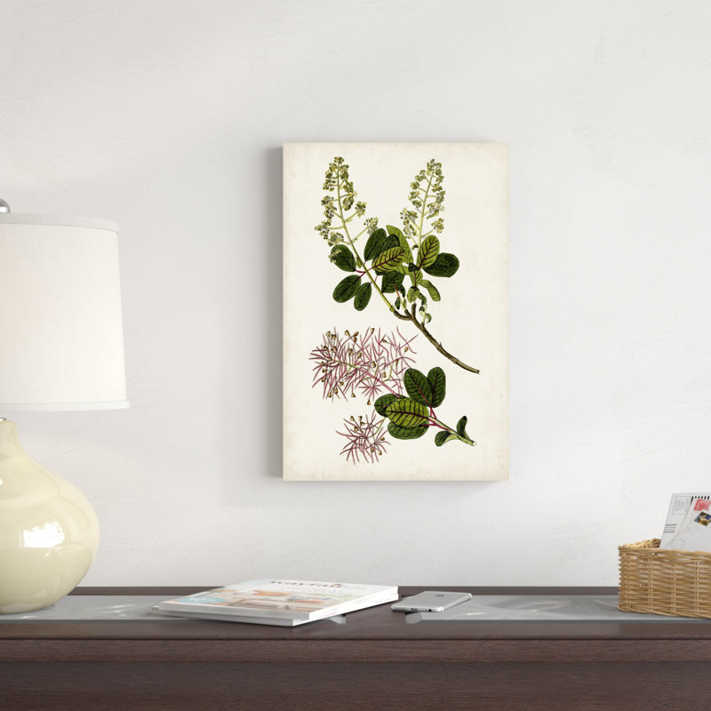 Étude botanique antique II, H 18 po x l 12 po x P 1,25 po